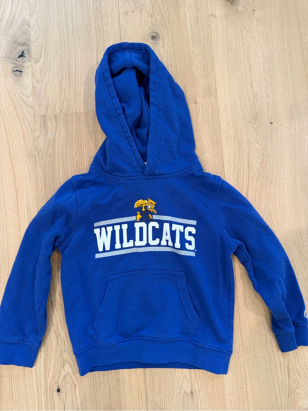 Champion Kentucky Wildcats Toddler Hoodie Blue Size 4T